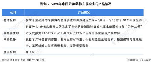 洞察2022 中國異種移植行業(yè)競爭格局深度解析——研發(fā)對比、投融資與業(yè)務(wù)布局盤點(diǎn)